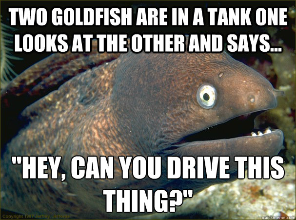 two goldfish are in a tank one looks at the other and says... 