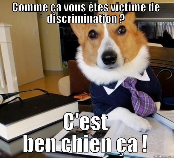COMME ÇA VOUS ÊTES VICTIME DE DISCRIMINATION ? C'EST BEN CHIEN ÇA ! Lawyer Dog