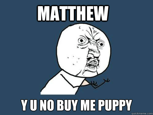 Matthew y u no buy me puppy  Y U No