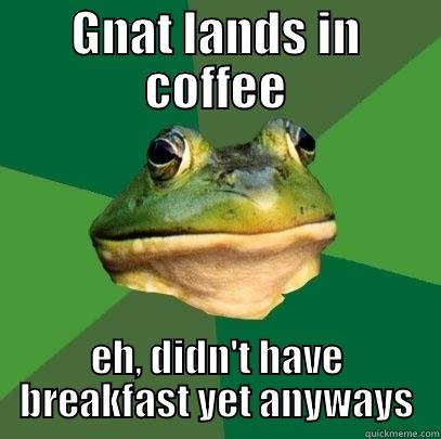 GNAT LANDS IN COFFEE EH, DIDN'T HAVE BREAKFAST YET ANYWAYS Foul Bachelor Frog