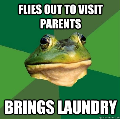 flies out to visit parents brings laundry  Foul Bachelor Frog