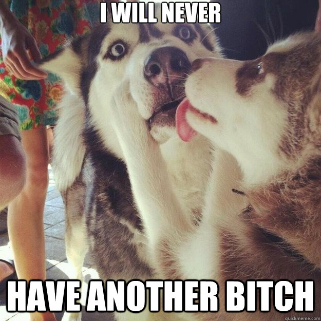 I will never have another bitch  Relationship Dog