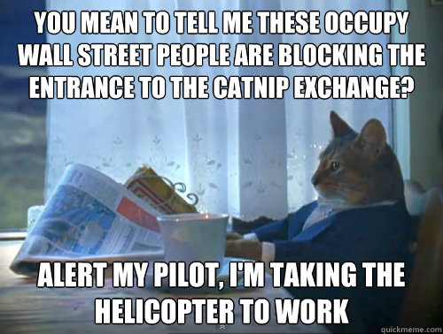 you mean to tell me these Occupy wall street people are blocking the entrance to the catnip exchange? alert my pilot, i'm taking the helicopter to work  The One Percent Cat