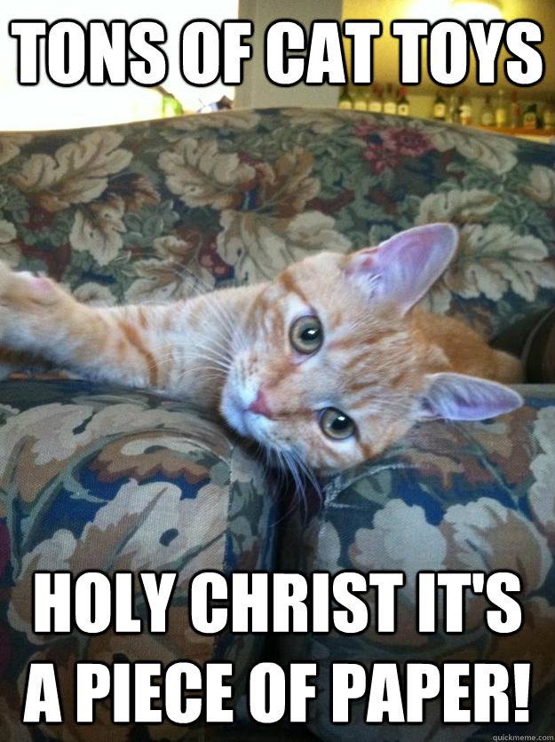 Tons of cat toys holy christ it's a piece of paper!  