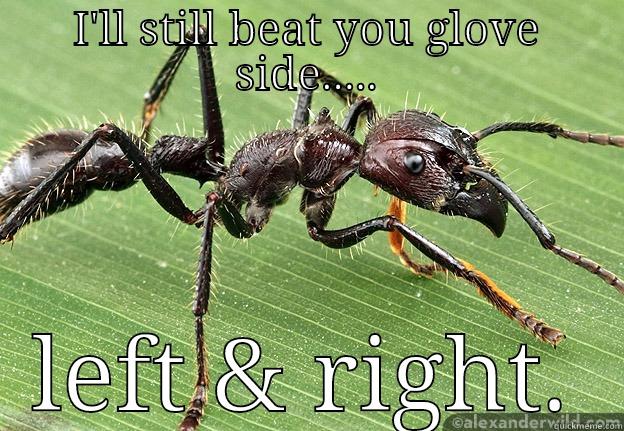 Bullet Ant Hockey - I'LL STILL BEAT YOU GLOVE SIDE..... LEFT & RIGHT. Misc