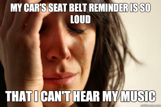 My car's seat belt reminder is so loud  That i can't hear my music   First World Problems