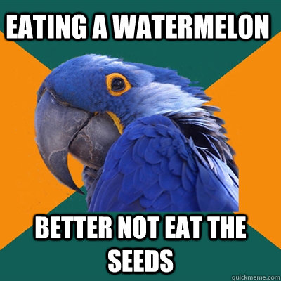 eating a watermelon better not eat the seeds  Paranoid Parrot