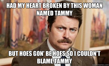 Had my heart broken by this woman named Tammy But hoes gon' be hoes so I couldn't blame Tammy - Had my heart broken by this woman named Tammy But hoes gon' be hoes so I couldn't blame Tammy  Lil Wayne Swanson