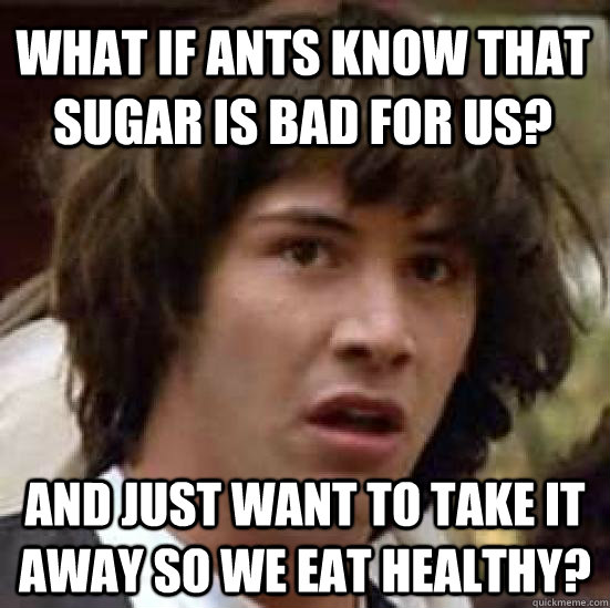 What if ants know that sugar is bad for us? And just want to take it away so we eat healthy? - What if ants know that sugar is bad for us? And just want to take it away so we eat healthy?  conspiracy keanu