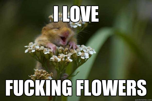 I Love Fucking Flowers  Happy Hamster