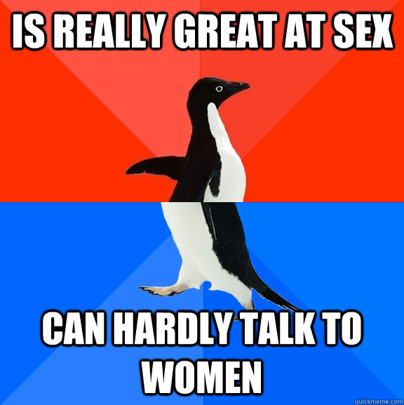 IS really great at sex can hardly talk to women  Socially Awesome Awkward Penguin
