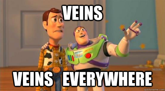 veins veins   everywhere  Buzz Glitter