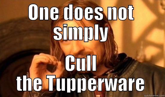 ONE DOES NOT SIMPLY CULL THE TUPPERWARE Boromir