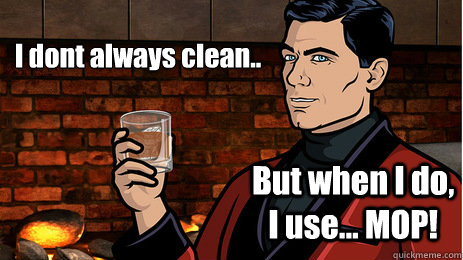 I dont always clean.. But when I do, I use... MOP!  Archer