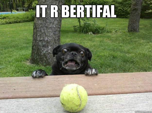 it r bertifal   Berks Dog