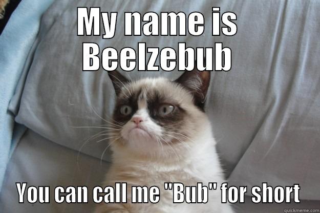 MY NAME IS BEELZEBUB YOU CAN CALL ME 