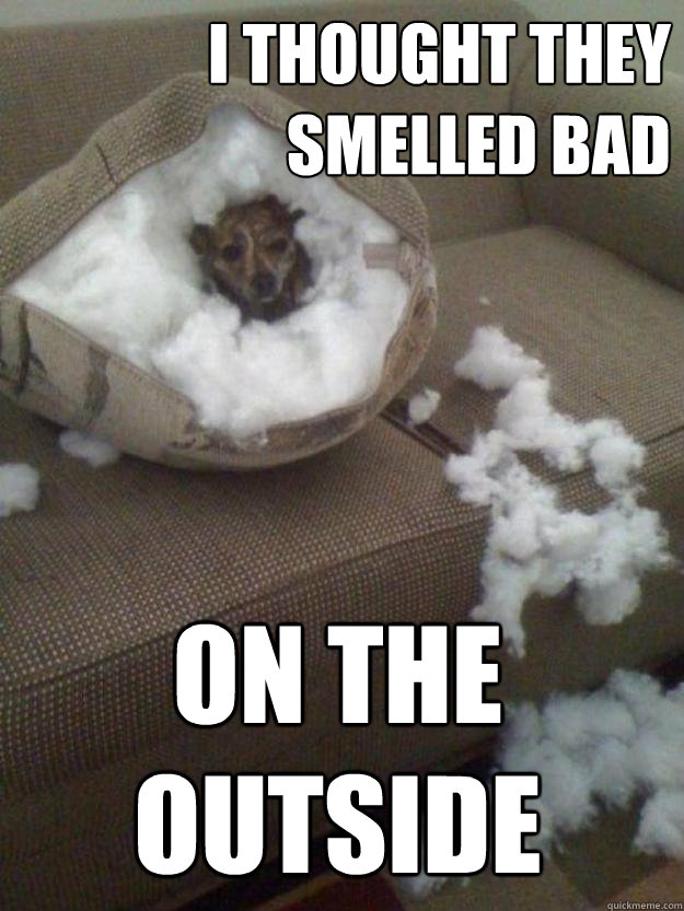 I thought they smelled bad on the outside - I thought they smelled bad on the outside  I thought they smelled bad on the outside