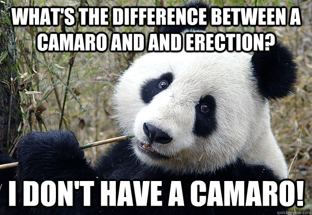 What's the Difference between a Camaro and and erection? I don't have a Camaro! - What's the Difference between a Camaro and and erection? I don't have a Camaro!  Pick-up line Panda