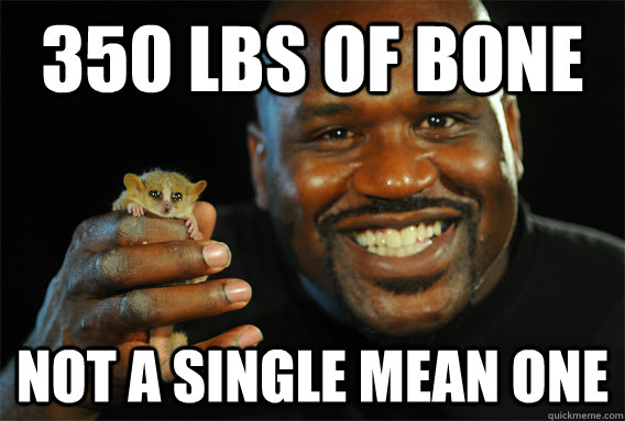 350 Lbs of bone Not a single mean one  Good Guy Shaq