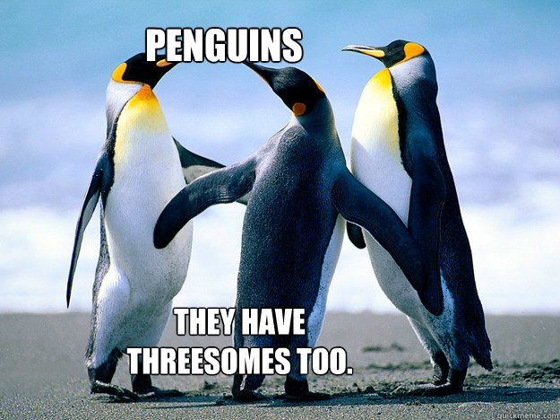 PENGUINS they have threesomes too.  penis