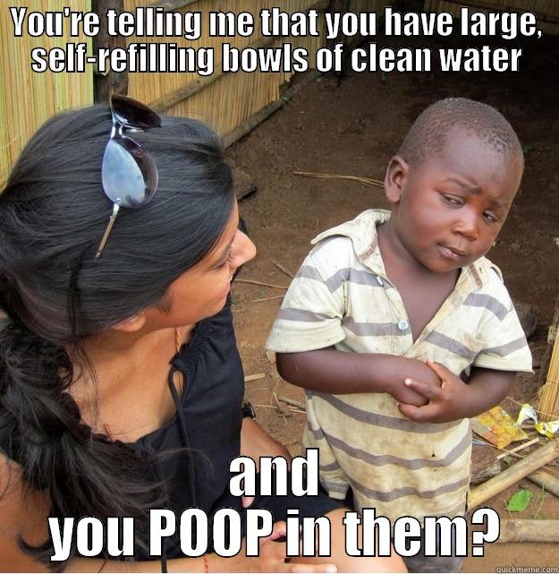 YOU'RE TELLING ME THAT YOU HAVE LARGE, SELF-REFILLING BOWLS OF CLEAN WATER AND YOU POOP IN THEM? Skeptical Third World Kid