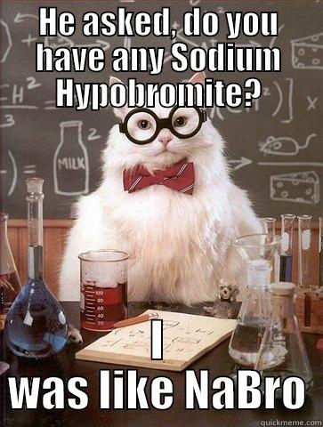 HE ASKED, DO YOU HAVE ANY SODIUM HYPOBROMITE? I WAS LIKE NABRO Chemistry Cat