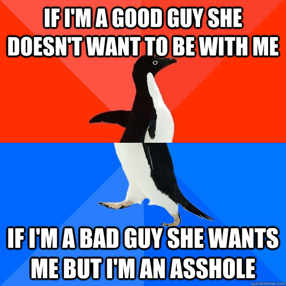 If I'm a Good guy she doesn't want to be with me If I'm a bad guy she wants me but I'm an asshole  Socially Awesome Awkward Penguin