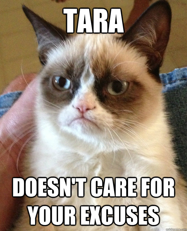Tara Doesn't Care For Your Excuses  grumpycat