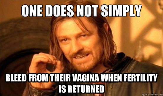 One Does Not Simply bleed from their vagina when fertility is returned - One Does Not Simply bleed from their vagina when fertility is returned  Boromir