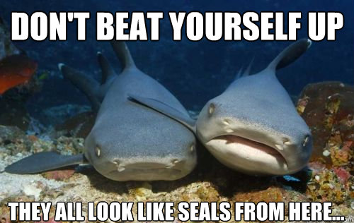 Don't beat yourself up they all look like seals from here...  Compassionate Shark Friend