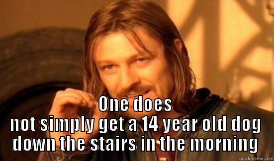  ONE DOES NOT SIMPLY GET A 14 YEAR OLD DOG DOWN THE STAIRS IN THE MORNING Boromir