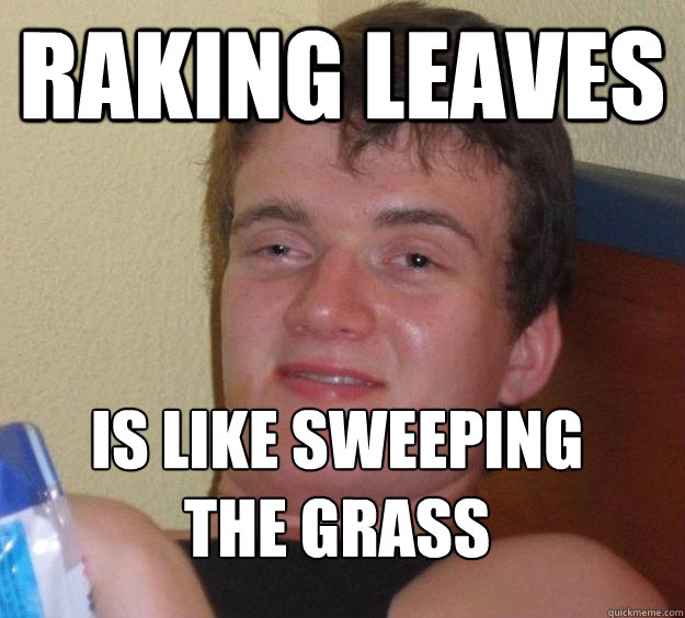 Raking Leaves Is like sweeping the grass  10 Guy