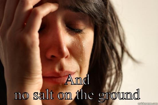  AND NO SALT ON THE GROUND First World Problems