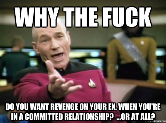 Why the fuck do you want revenge on your ex, when you're in a committed relationship?  ...Or at all?  Annoyed Picard HD