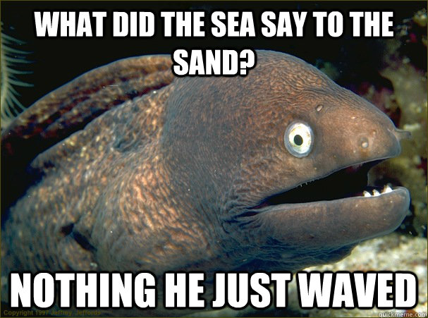 What did the sea say to the sand? Nothing he just waved  Bad Joke Eel