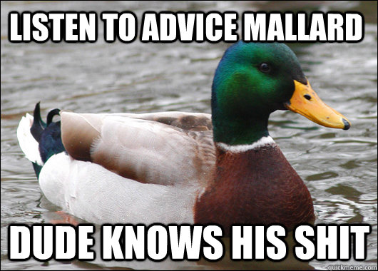 Listen to advice mallard dude knows his shit  Actual Advice Mallard