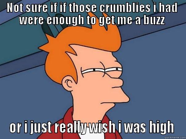 NOT SURE IF IF THOSE CRUMBLIES I HAD WERE ENOUGH TO GET ME A BUZZ OR I JUST REALLY WISH I WAS HIGH Futurama Fry