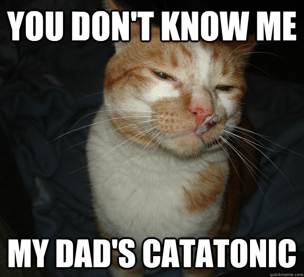 You don't know me My dad's catatonic  Cool Cat Craig