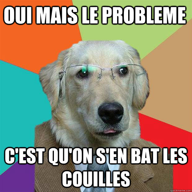 Oui mais le probleme C'est qu'on s'en bat les couilles - Oui mais le probleme C'est qu'on s'en bat les couilles  Business Dog