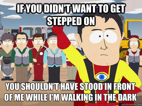 if you didn't want to get stepped on you shouldn't have stood in front of me while i'm walking in the dark  Captain Hindsight