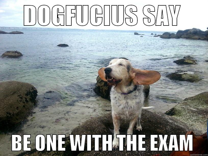 Dogfucius Say - DOGFUCIUS SAY     BE ONE WITH THE EXAM    Misc