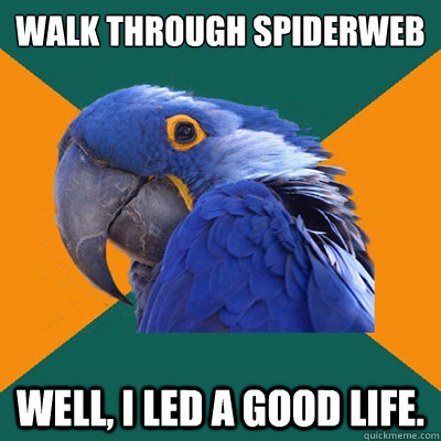 walk through spiderweb well, i led a good life.  Paranoid Parrot