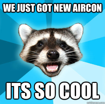 WE JUST GOT NEW AIRCON ITS SO COOL  Lame Pun Coon