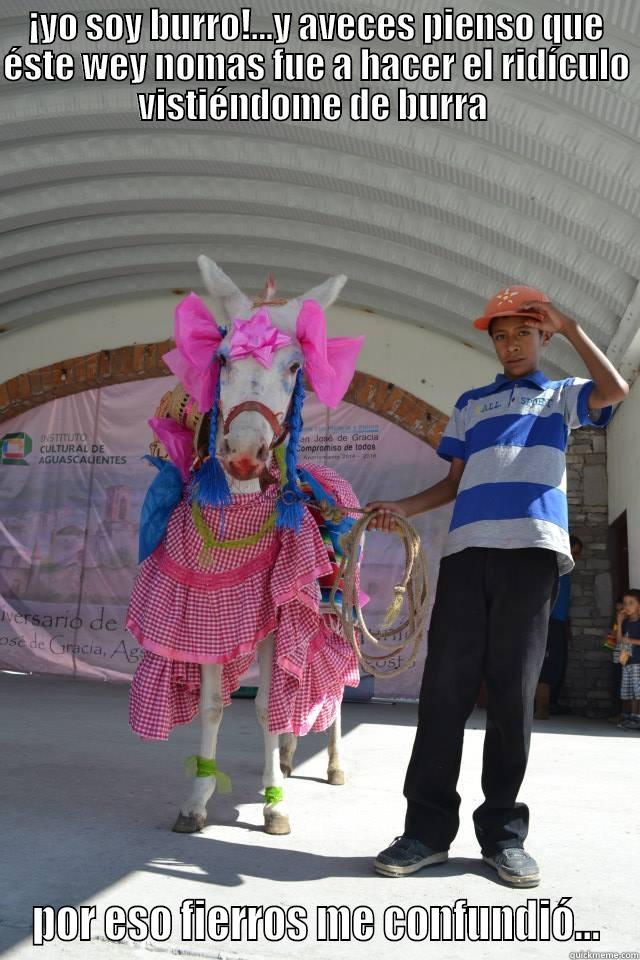 ¡YO SOY BURRO!...Y AVECES PIENSO QUE ÉSTE WEY NOMAS FUE A HACER EL RIDÍCULO VISTIÉNDOME DE BURRA  POR ESO FIERROS ME CONFUNDIÓ... Misc