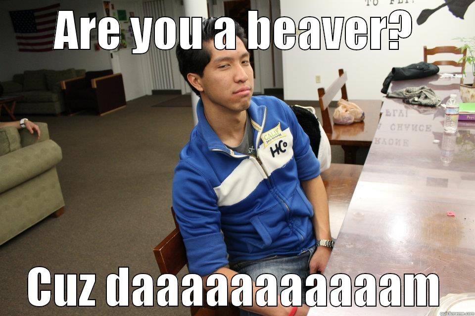 ARE YOU A BEAVER? CUZ DAAAAAAAAAAAM Misc