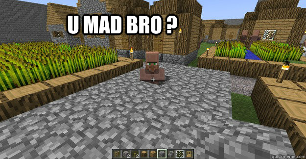 U mad bro ? - U mad bro ?  Trolling Minecraft Villager