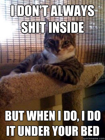 I don't always shit inside but when i do, i do it under your bed  The Most Interesting Cat in the World
