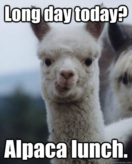 Long day today? Alpaca lunch.  ALPACA