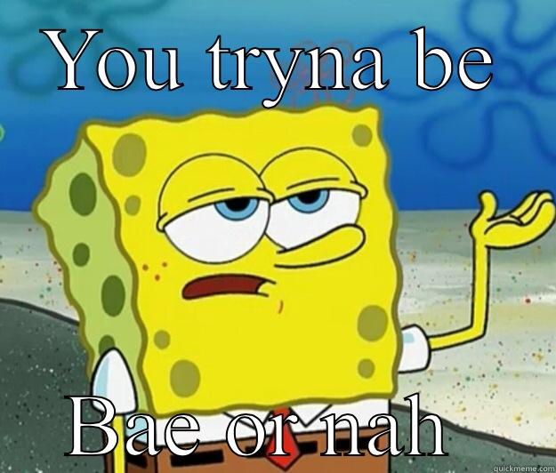 Bae or bah - YOU TRYNA BE BAE OR NAH  Tough Spongebob