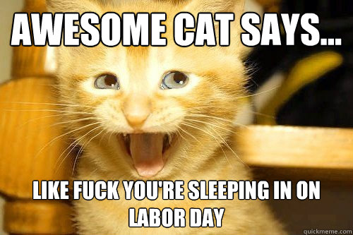 Awesome Cat Says... Like fuck you're sleeping in on labor Day  